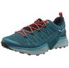 Полуботинки Salewa Women's Dropline GTX