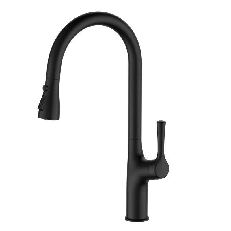 TLXT Multi-Mode Anti-Splash Kitchen Faucet