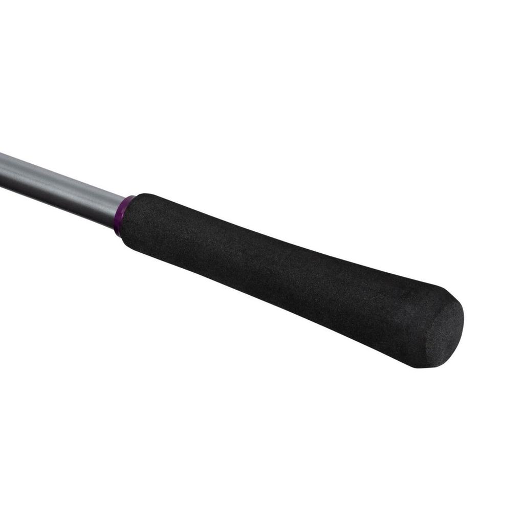 Shimano Hairtail Rod 25 Sabre Master SS Tenya 82MH180 (SHIMANO)