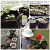 1/2/3/5/7/10 Gallon Black Plants Growing Bag Vegetable Flower Aeration Planting Pot Container PH