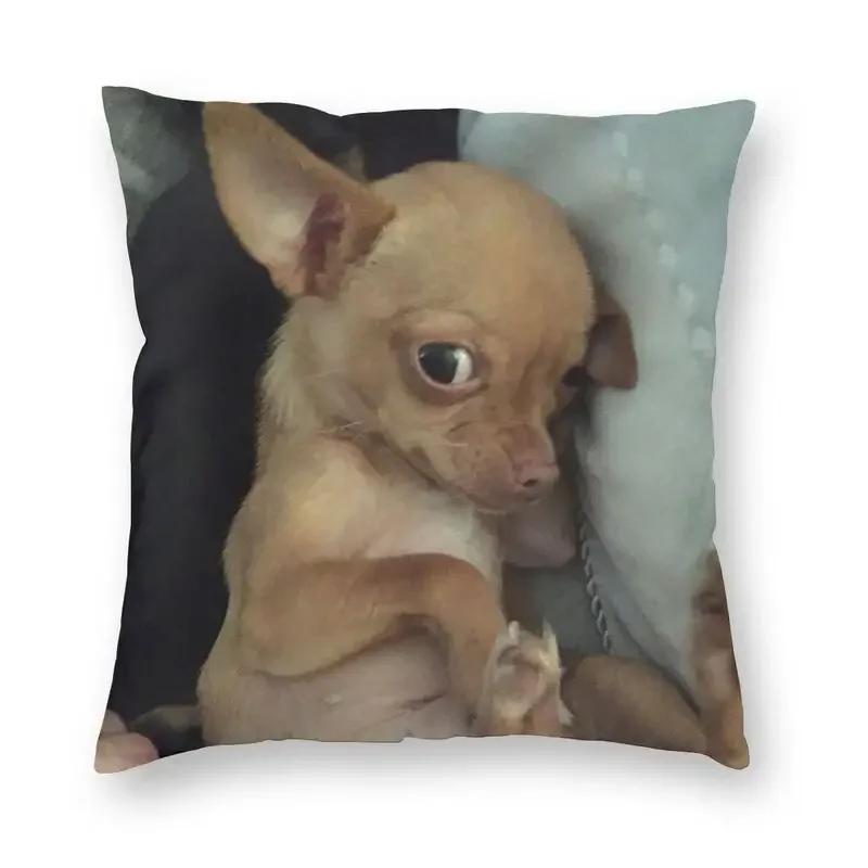 Personalized Chilly Chihuahua Square Pillow Case Home Decorative Pet Dog Cushions Throw Pillow for Car Double-sided Printing