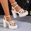 High heels women's sandals 2025 summer new waterproof platform platform platform fashion women's shoes thick heel temperament large size sandals