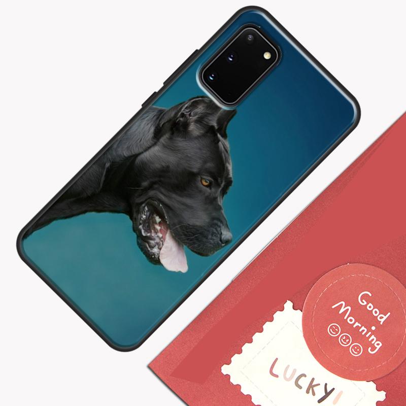 Cane Corso Italian Mastiff Phone Case For Samsung Galaxy S26 S25 S24 S20 S21 S22 S23 Ultra S10 Plus S25 FE Cover Shell