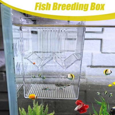 Fish Breeding Box Float Small Shrimp Isolation Divider Hatching Box With Suction Cups Guppy Betta Fish Isolation Box For
