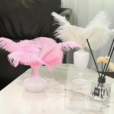 Piuma di Struzzo Grande 25-30cm per Bouquet da Sposa o Decorazione Fotografica