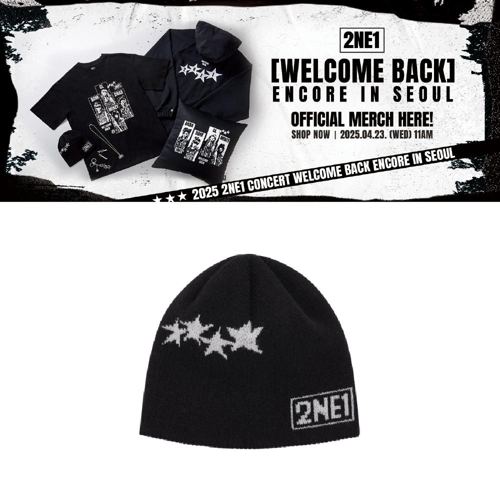 

Концерт 2NE1 2025 WELCOME BACK Encore в СЕУЛЕ Шапка-символ