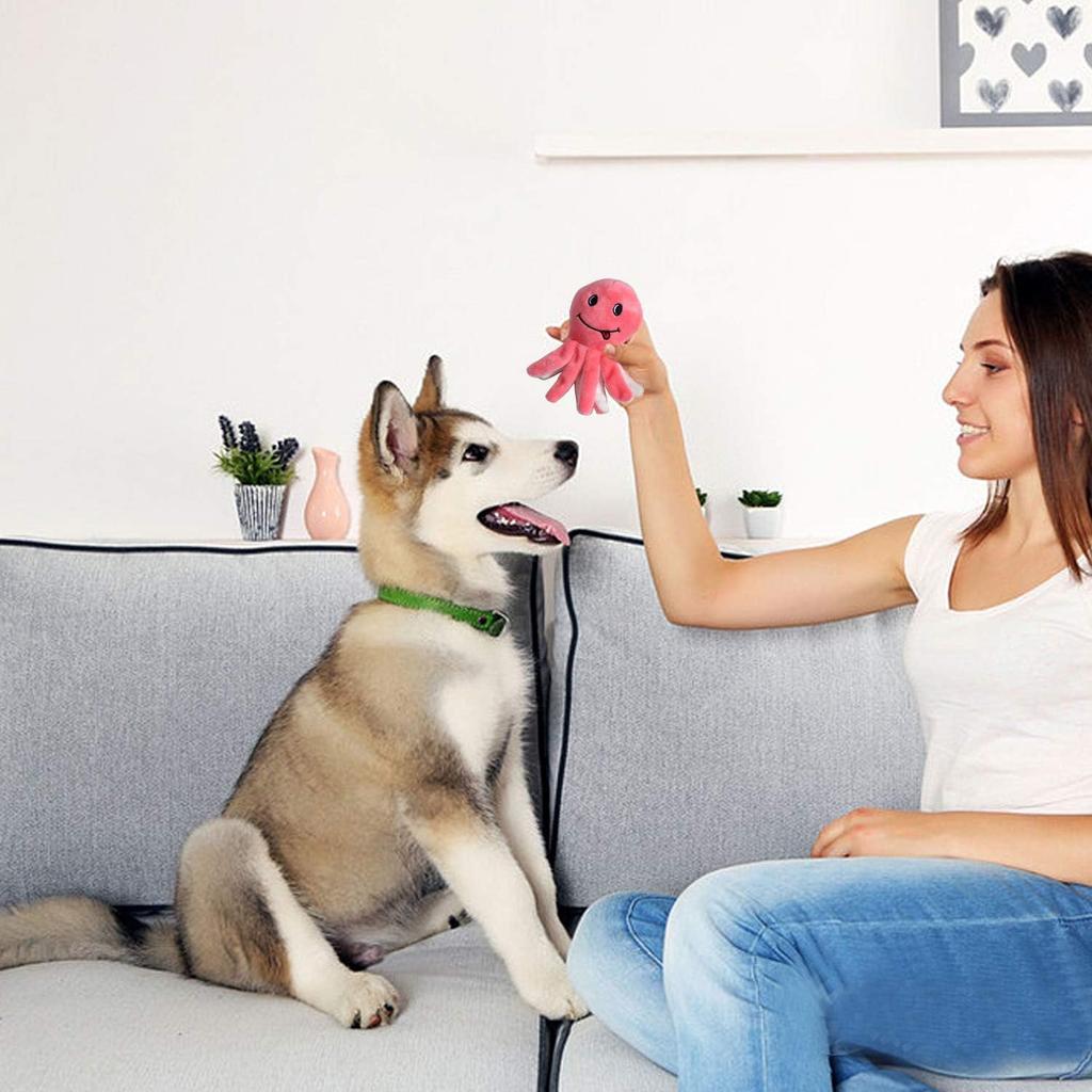 LEGEND SANDY Squeaky Plush Dog Toy Pack for 12 Small Plush Puppy Chew Toys with Squeaky Cute Soft Pet Toy for Small to Medium Dogs Puppies, Sounds,