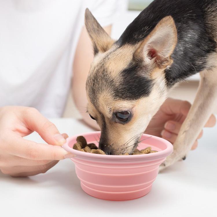 Collapsible Silicone Pet Food & Water Bowl for Cats and Dogs - Portable and Foldable for Outdoor Use