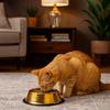 Large Capacity Pet Feeding Bowl Gold Plated Stainless Steel Dog Drinking Basin Metal Anti Slip Dog Food Basin For Dogs Cats