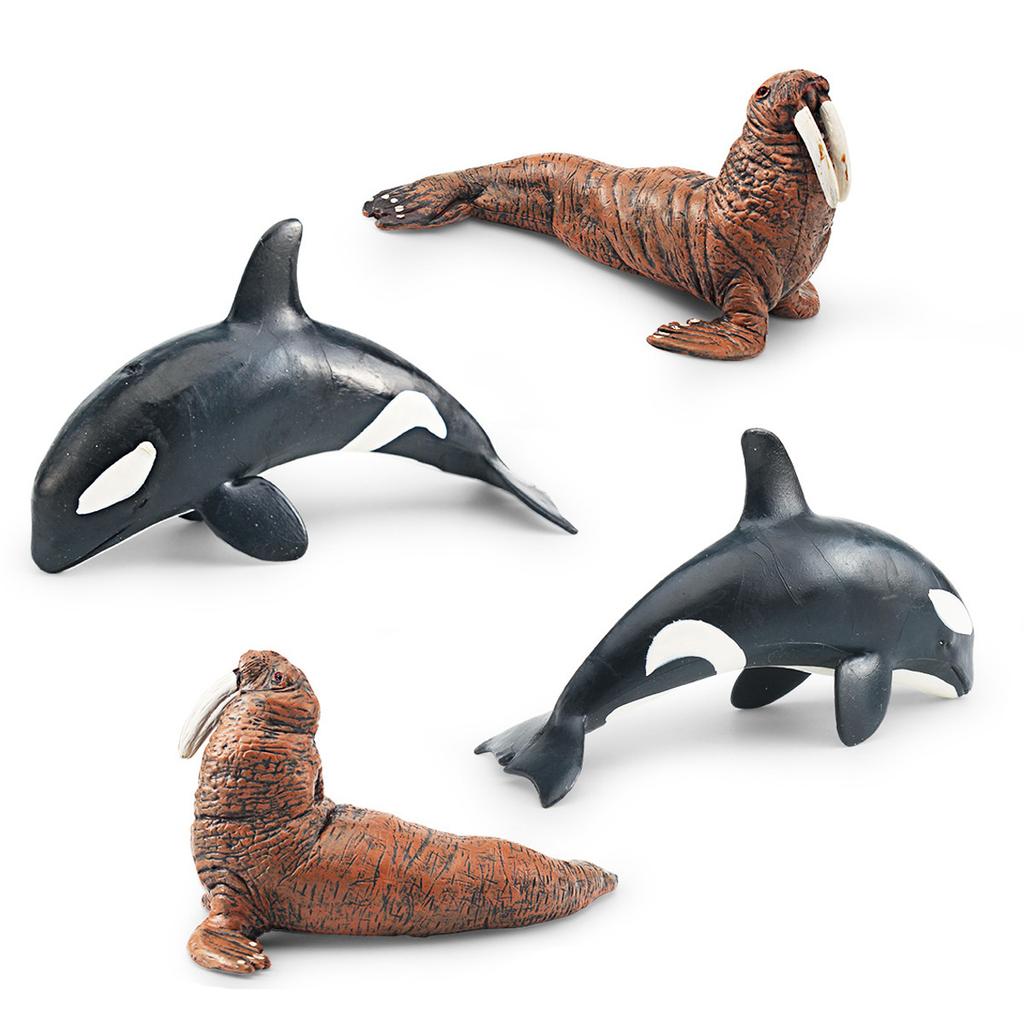Supply 4 Simulated Marine Animal Models, Killer Whales, Walruses, Otters, Fur Seals, Children'S Cognitive Animal Ornaments