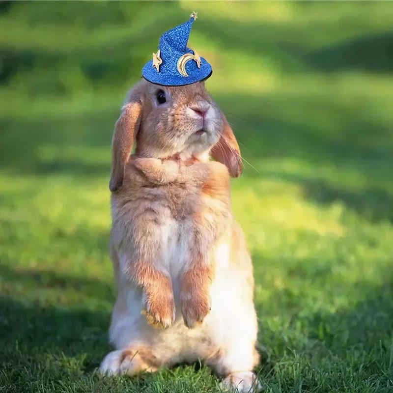 Mini Witch Hat for Small Animals Adjustable Pet Headgear Hamster Rat Hats Halloween Cosplay Clothing Guinea Pigs Assessories