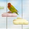 Detachable Pumice Parrot Stand Wear Resistant Bite Resistant Bird Resting Platform Tooth Grinding Bird Cage Toys Habitat