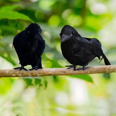 Halloween Feather Crow Tabletop Decoration - Black Crow Photography Prop & Bird Repellent for Festivals