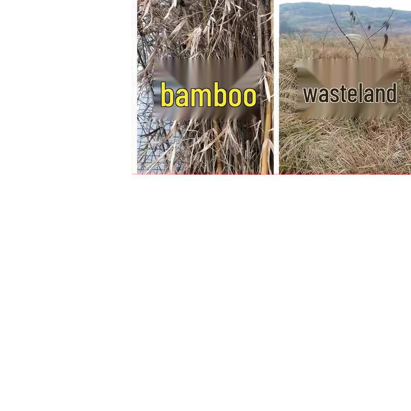 Tree Root Rot Eliminator: Powerful One-Drop Solution for Killing Rot, Weeds, and Bamboo