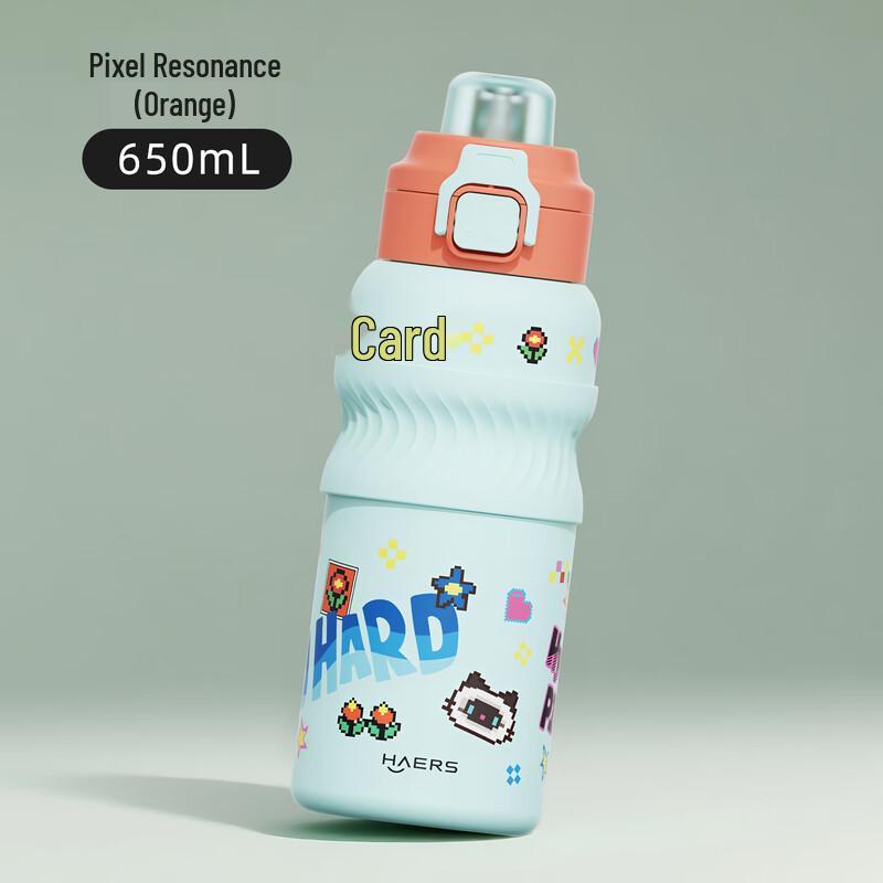 HAERS 316 Stainless Steel Portable Insulated Bottle