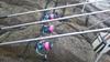 Atomic Slider Throw Ardent Pink 3000m #3