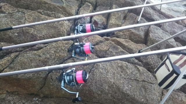 Atomic Slider Throw Ardent Pink 3000m #3
