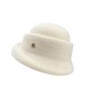 Spring and autumn warmth, windproof and elegant woolen top hat girl