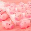 16/21 Stück Plastik Quietsche-Schwein Hundespielzeug, Weiches Quetschschwein Geräusch, Welpen Kauspielzeug für den Zahnwechsel, Interaktives Haustierbedarf für Hundespiel YMY