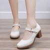 Women's Big Size Leather Block Heel Work Shoes Spring Autumn New Thick Sole Round Toe Shallow Velcro High Heel Cheongsam Shoes