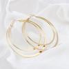 Earrings 2019 European and American new metal exaggerated earrings, geometric large circle double-layer earrings