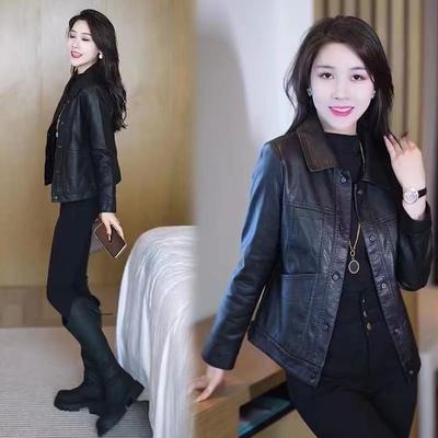 Frühling Herbst Schwarz Übergröße Modische Lederjacke für Damen Kurzer Mantel