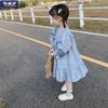Girls' Floral Long-Sleeve Mid-Length Spring 2025 Princess Dress - Korean Pastoral Style