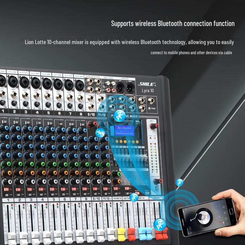 SHILE Lyra Ten 12-Channel Professional Mixer