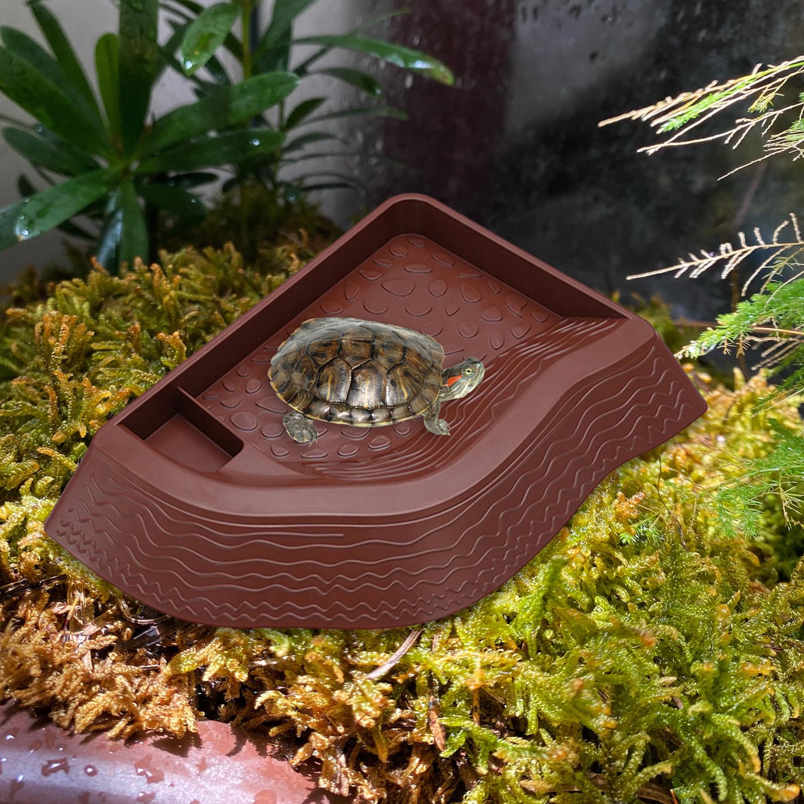 Turtle Bathing Pool, Reptile Water Bowl, Aquarium Ornament, Landscape Feeding Bowl, Turtle Feeder for Bearded Dragons,
