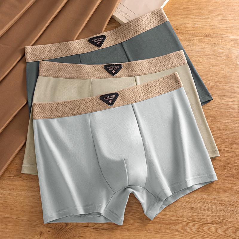 Men's 10A Antibacterial Cotton Boxer Briefs - Mid-Rise, Breathable Square Leg Underwear, Youthful Trend Shorts, Plus Size Available.