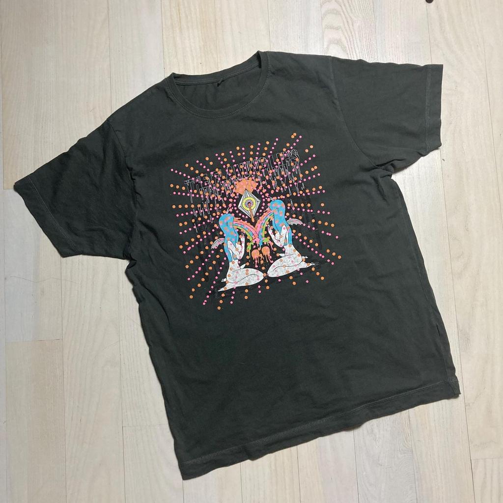 Vintage The Flaming Lips Indie Psychedelic Rock Band T-Shirt Size Large