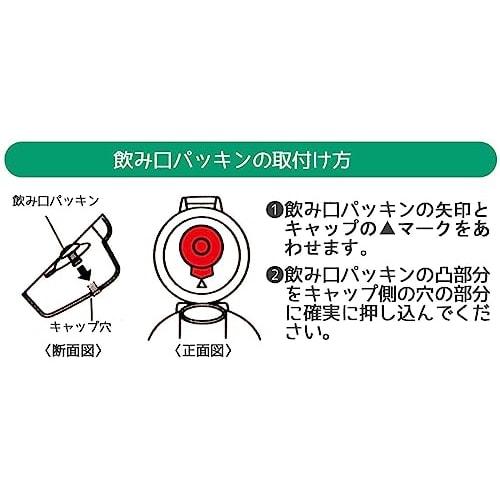 Skater Children's Water Bottle, 480ml, Direct Drinking, Plastic, One-Touch Operation, Dishwasher Safe, Made in Japan, Toretans and Hapidanbui, for Boy