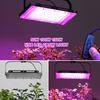 Full Spectrum LED Grow Light PhytoLamp For Plants Tent USB 5V Flower Seeding Switch Dimming Range Lamp Floodlight Grow Phyto Box