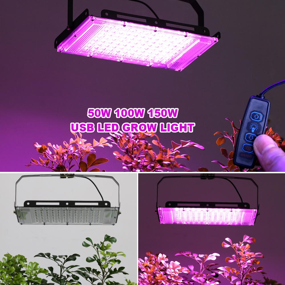 Full Spectrum LED Grow Light PhytoLamp For Plants Tent USB 5V Flower Seeding Switch Dimming Range Lamp Floodlight Grow Phyto Box