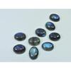 12X16MM Natural Labradorite Blue Fire Oval Cabochon Loose Gemstone 09Pcs Lot C-1091