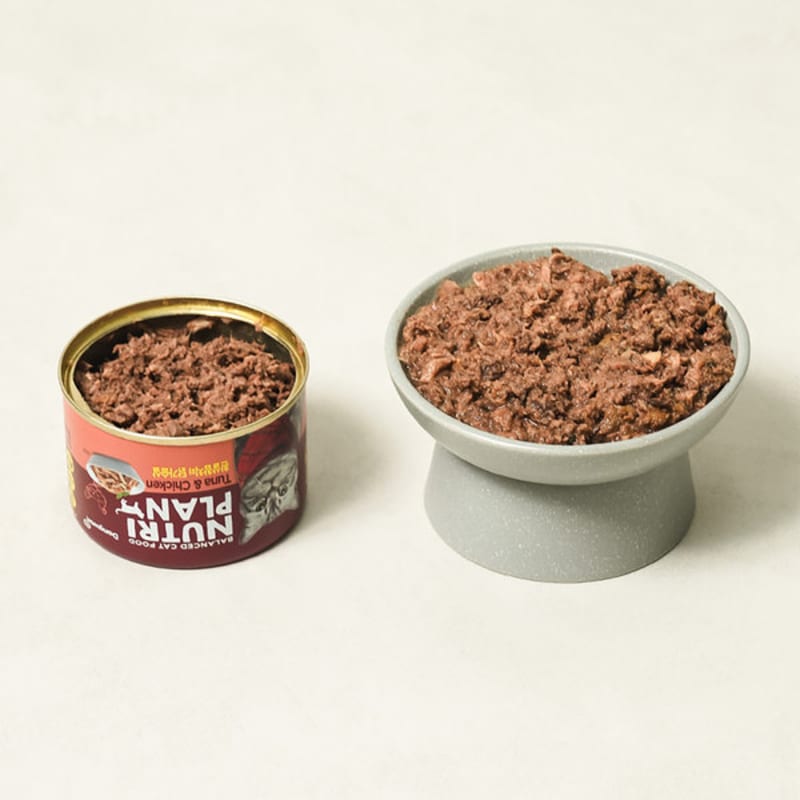 Dongwon Nutriplan Wet Can 160 G White Meat Tuna And Chicken Breast