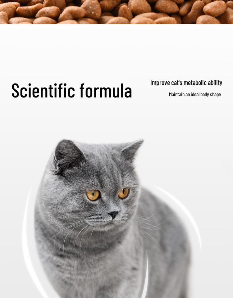 Good Master Classic Hrana Completă pentru Pisici de Interior, Adulți și Pisoi - 2.5/10kg