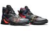 Nike LeBron 13 Akronite 807219-008