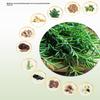 120G Usman Grass Shampoo Soap Refreshing And Flushing Healthy Polygonum Multiflorum Ancient Handmade Soap