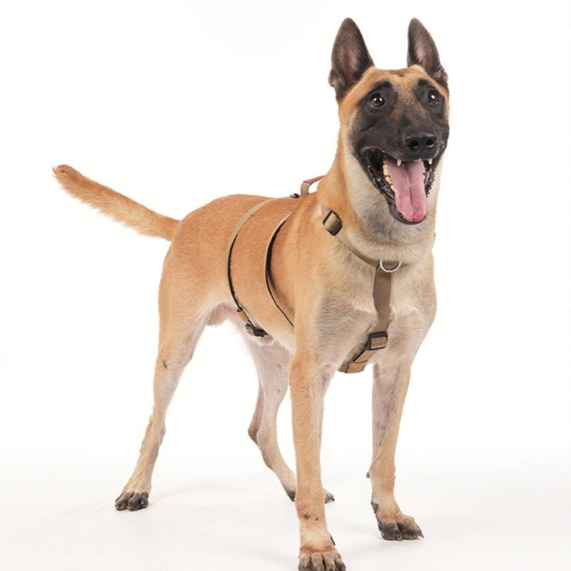 Dog Harness Anti Escape Vest Adjustable Training Vest Pet Strong Training Walking Swimming Hiking Anti Escape Belt