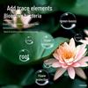 Lotus Water Purifier Tablets - Purifies Water, Deodorizes Pools, Removes Impurities, Clears Hydroponic Plants