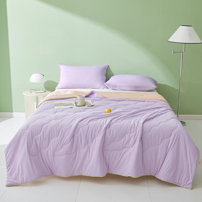 

Jieliya Pure Color Cooling Silk Antibacterial Summer Quilt