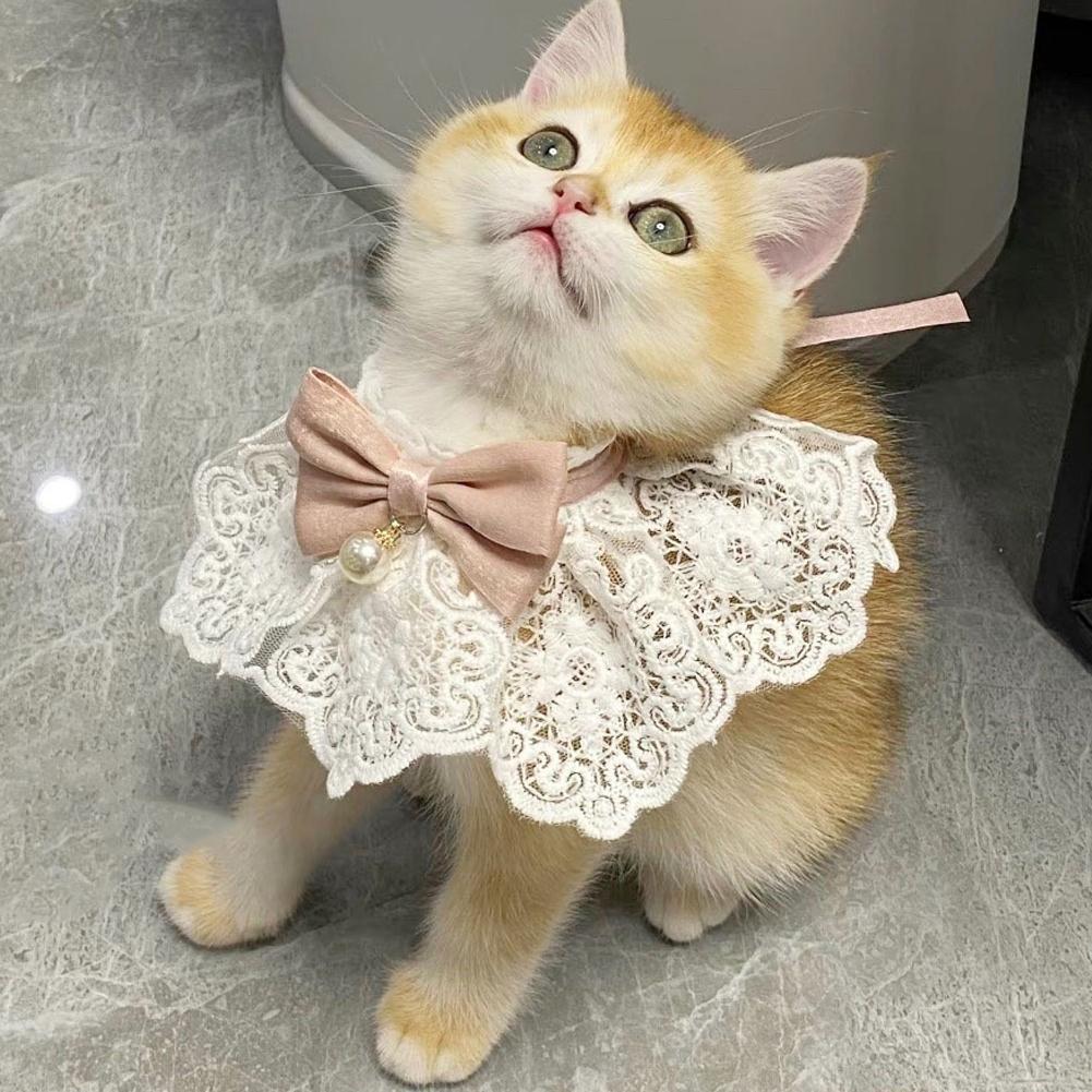 Lace Bowknot Pearl Collar Cat Dog Neckerchief Pet Cats Kitten Dog Puppy String Bib Necklace Necktie Neck Strap Scarf Accessories