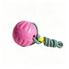 Dog Toy Set Durable Flying Discs Pull Rings Chew Balls Small To Large Dogs Interactive Pet Entertainment