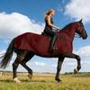 Horse Sheet - Breathable Equine Body Cover For Stable Use, Transport & Daily Grooming | Lightweight Fabric With Adjustable Fasteners | Against D