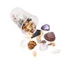 Seashells Art Materials Handmade Jewelry Accessories Creative Seashells Home Decors Materials Seashells Crafting Set