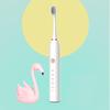 Migoo MX602 Sonic Electric Toothbrush CN Plug (adapter Included)