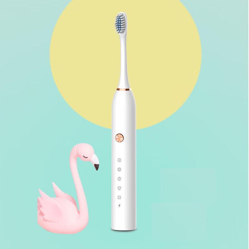 Migoo MX602 Sonic Electric Toothbrush CN Plug (adapter Included)