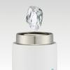 Skater Stainless Steel Water Moomin 80th Anniversary Bottle, 450ml, Insulated, Edition, STX5-A