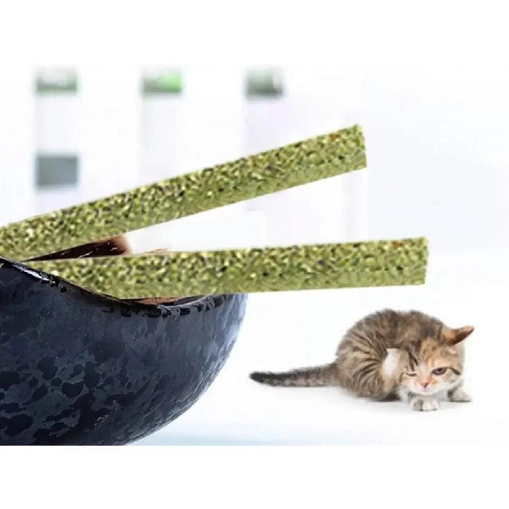 Natural Matatabi Cat Stick Mint Caught Bite Excited Rods Silvervine For Cat Teeth Cleaning Treating Pet Supply Cat Toys